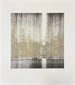 « Veil 6 » (2008), issu de la série « Veil », épreuve d'imprimeur signée, photogravure