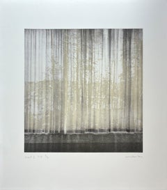 « Veil 2 », tiré de la série « Veil », épreuve d'imprimeur signée, photogravure à l'aquatinte
