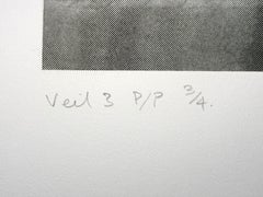 « Veil 3 », tiré de la série « Veil », épreuve d'imprimeur signée, photogravure à l'aquatinte