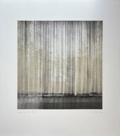 « Veil 3 », tiré de la série « Veil », épreuve d'imprimeur signée, photogravure à l'aquatinte