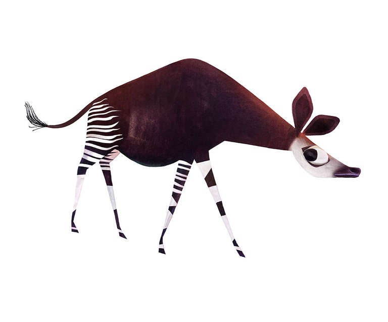 Okapi - Print by Brendan Wenzel