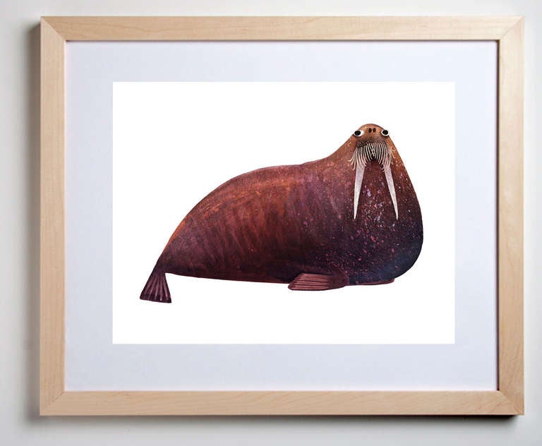 Morses de l'Atlantique en vente 3