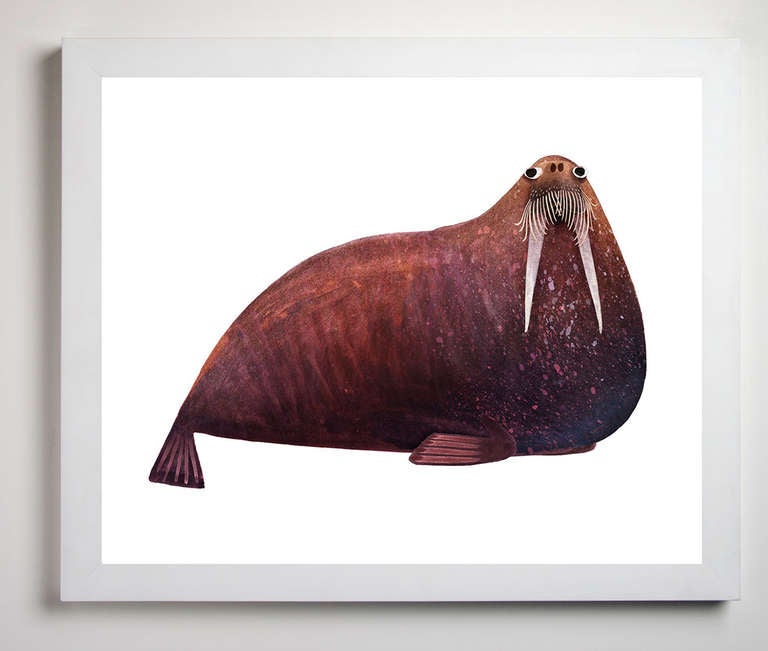 Morses de l'Atlantique en vente 4