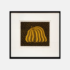 A Pumpkin YB-A (Kusama 325)