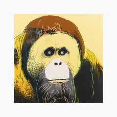 Orangutan (F. & S. II.299) (da “Endangered Species”) Rara edizione limitata di Warhol