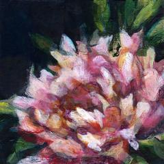 Pivoines 7
