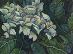 Hydrangea No. 2 12