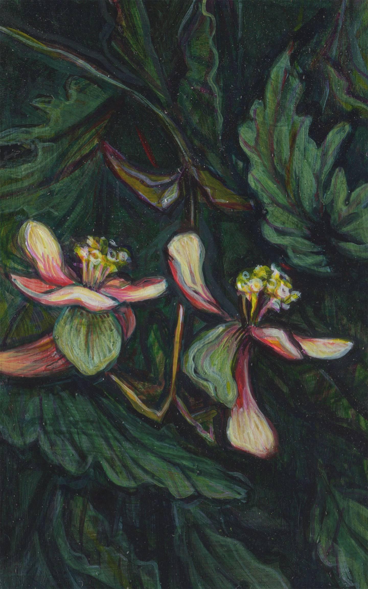 Katherine Sandoz Still-Life Painting - Begonias