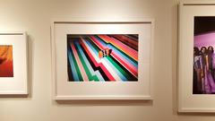 "Ferragamo (Stripes)" - Abstract Fashion Photography - Winogrand