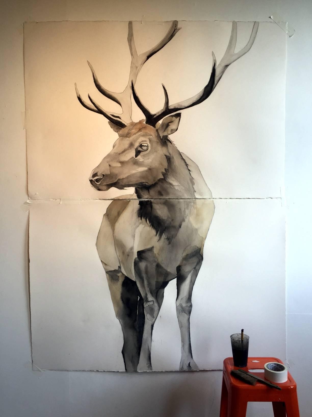 Elk - Academic Art by Heather Lancaster