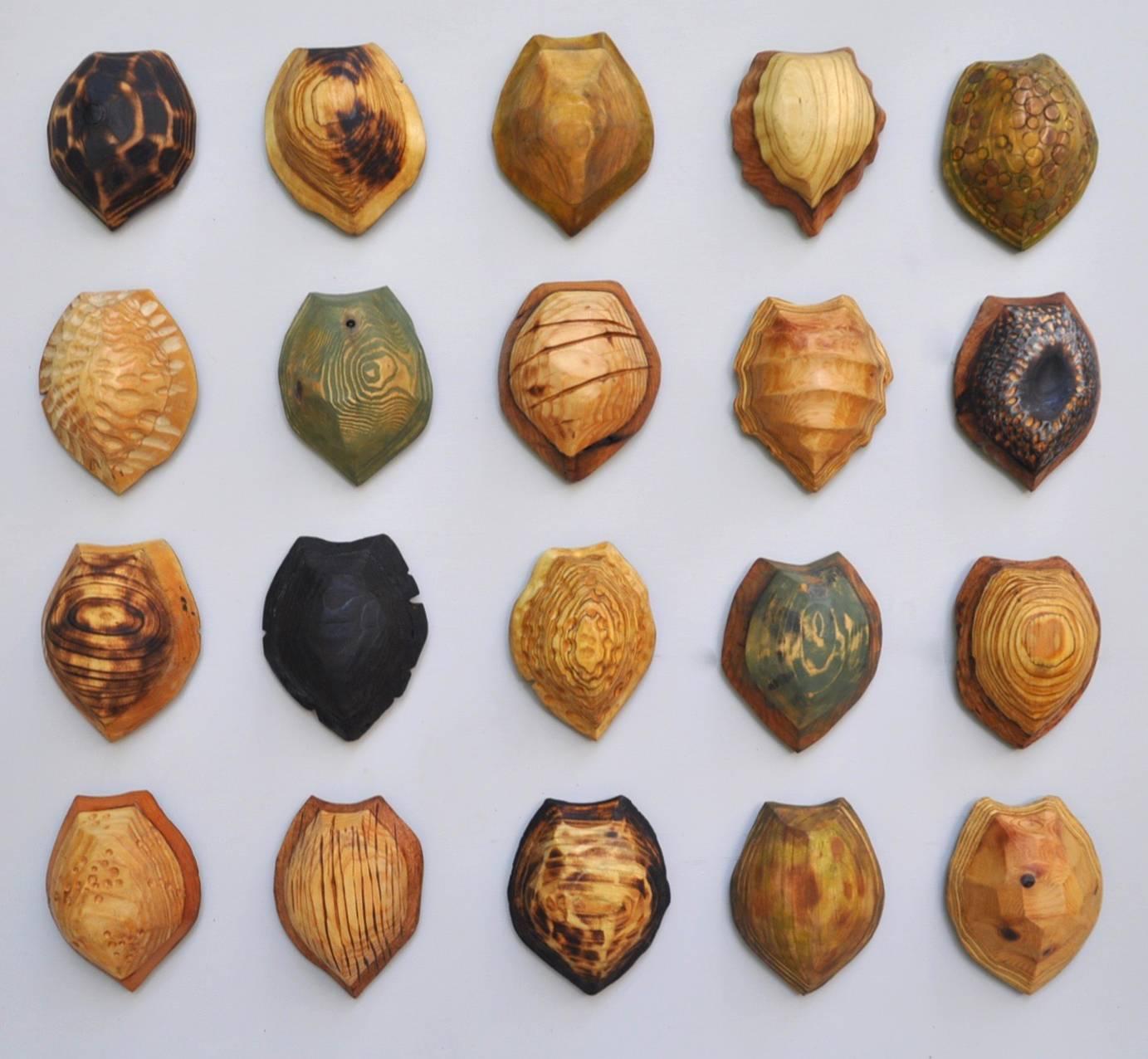 20 Terrapin Shells - Sculpture by Chris Condon 