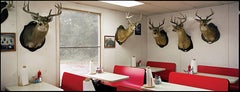 Used "J&R's, Deer Heads, Perry County, AL" - Southern  Photography - Christenberry