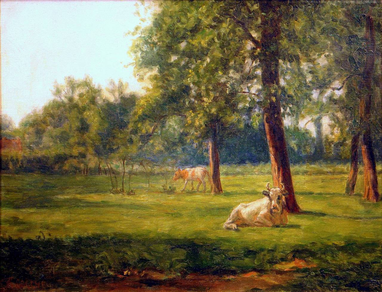 Pasture with Cows
