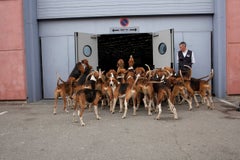 Hounds, from the Canine Kingdom Series, Paris, France