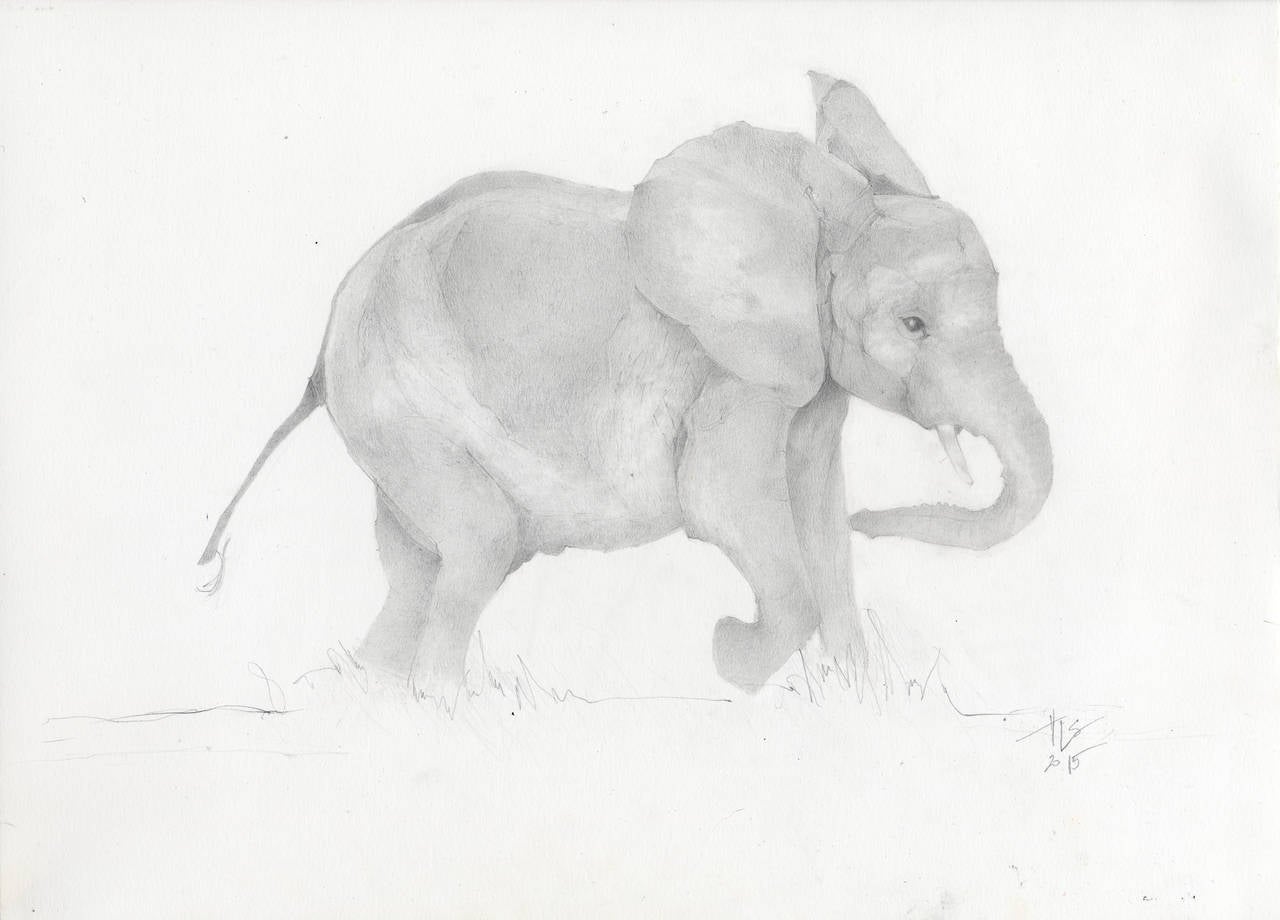 Heather Lancaster Animal Art - Baby Elephant