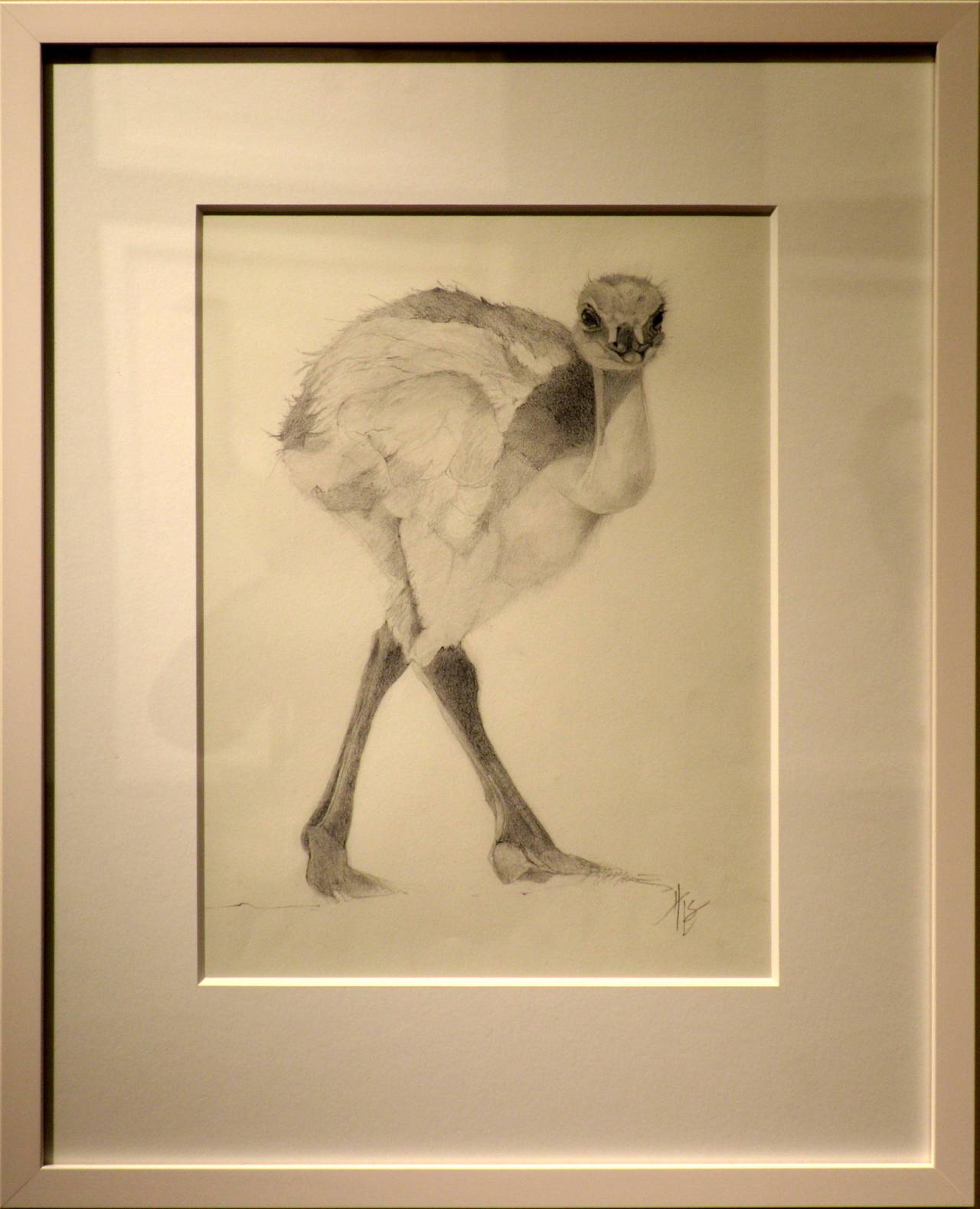 Baby Ostrich - Art by Heather Lancaster