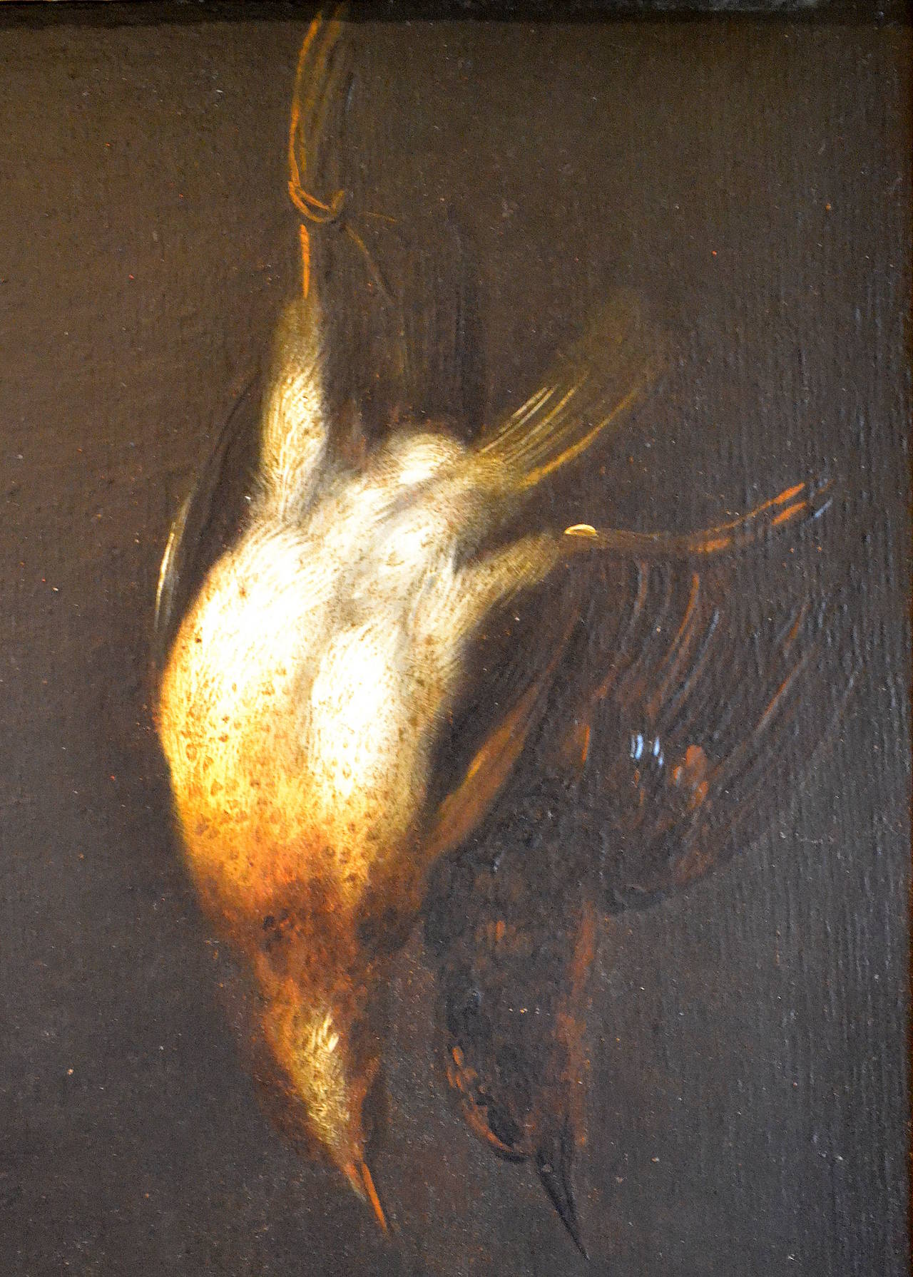 Joseph van den Kerkhoven è nato a Bruges.  Nel 1682 divenne allievo di J. van Meunincxhove e poi di E. Quellinus ad Anvers.  Dopo un viaggio a Frankfort, fondò l'Accademia di Bruges e ne divenne il direttore.  Kerkhoven dipinse il soffitto del
