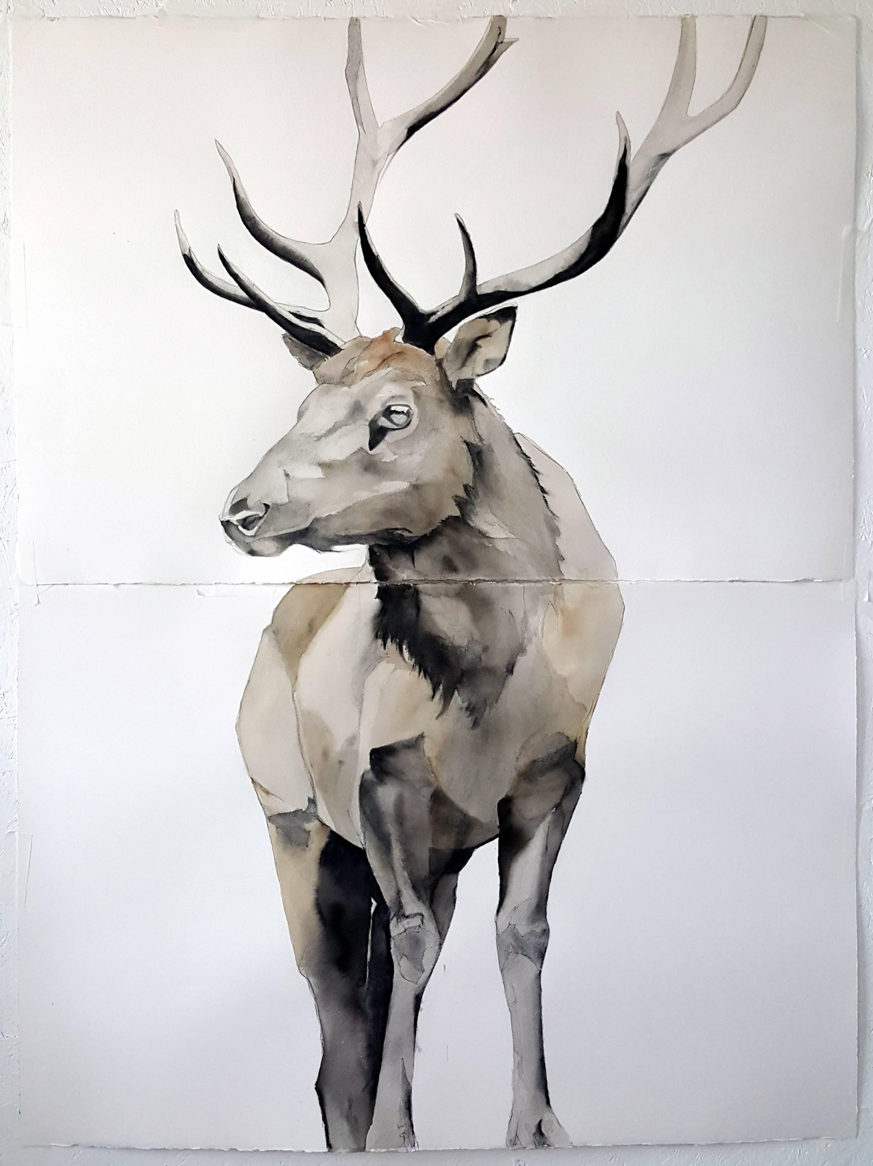 Heather Lancaster Animal Art - Elk