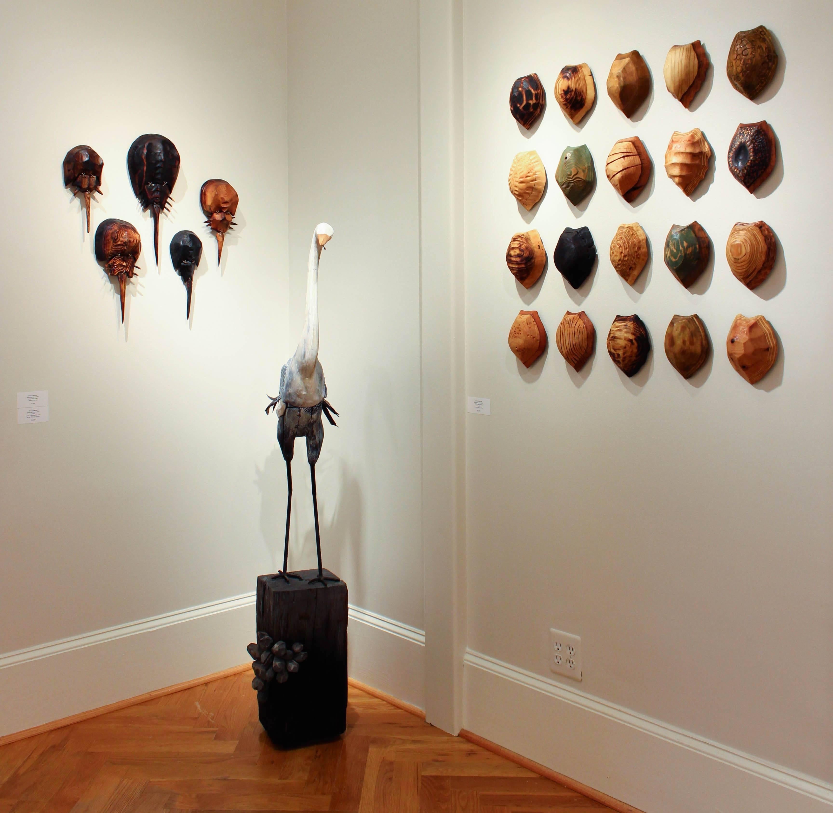 20 Terrapin Shells - Naturalistic Sculpture by Chris Condon 