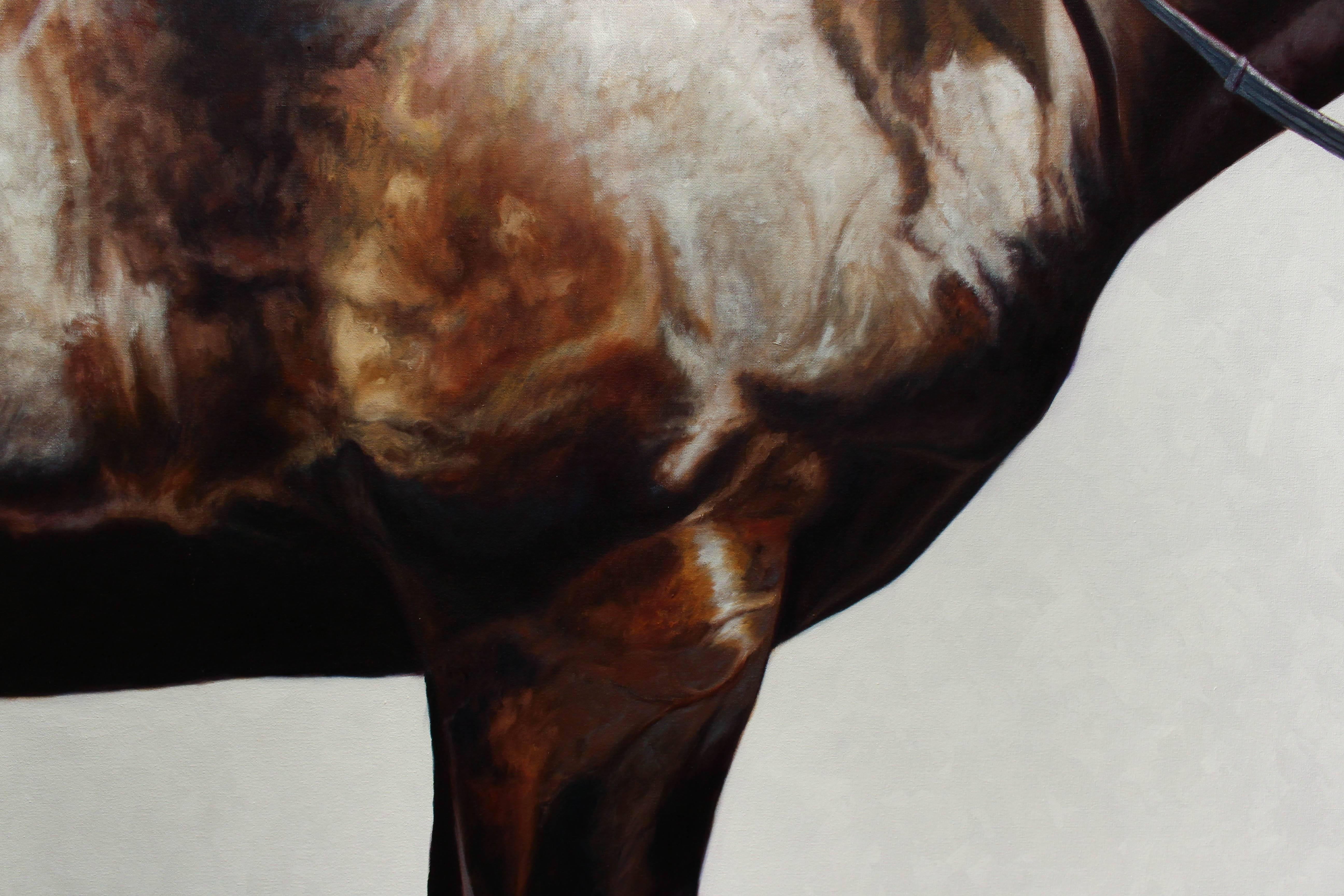 Julie Ferris is an equine portrait painter whose goal is to portray the strength & beauty of each subject.  Ferris explores the symbolism, history & the highly unique relationship humankind & the horse have shared over thousands of