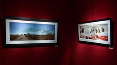 "J&R's, Deer Heads, Perry County, AL" - Southern  Photography - Christenberry