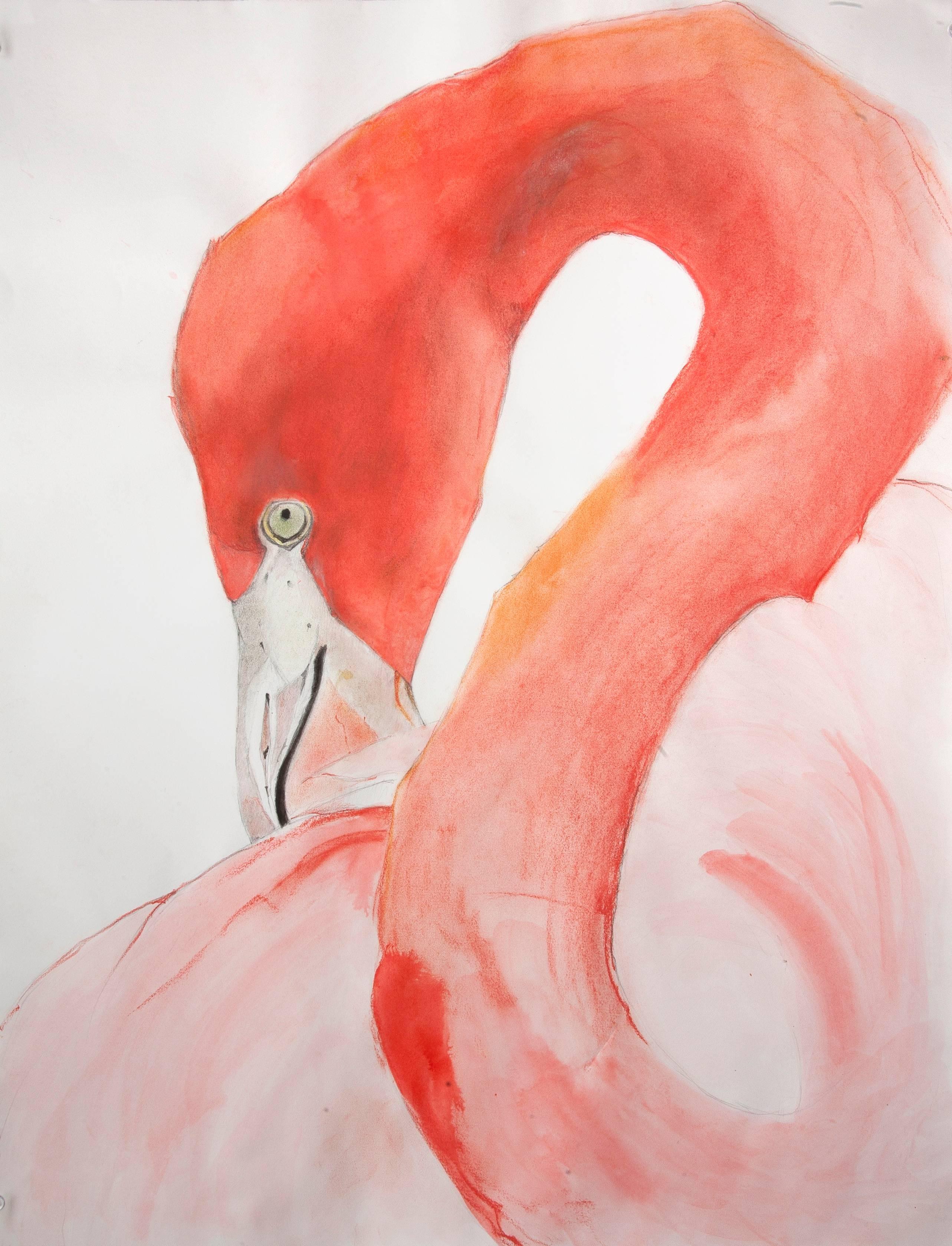 Heather Lancaster Animal Art - American Flamingo #2