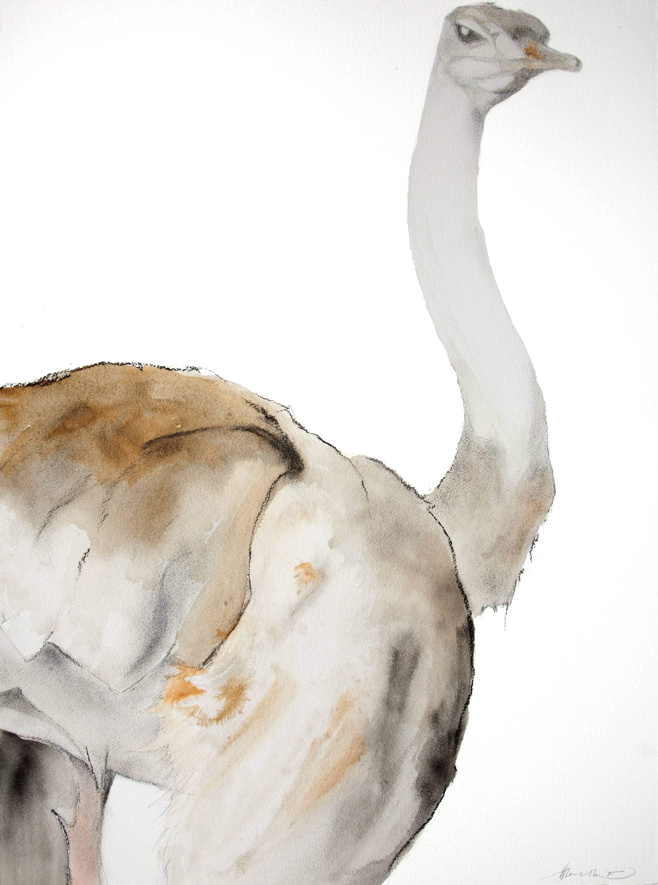 Heather Lancaster Animal Painting - Female Ostrich-Profile