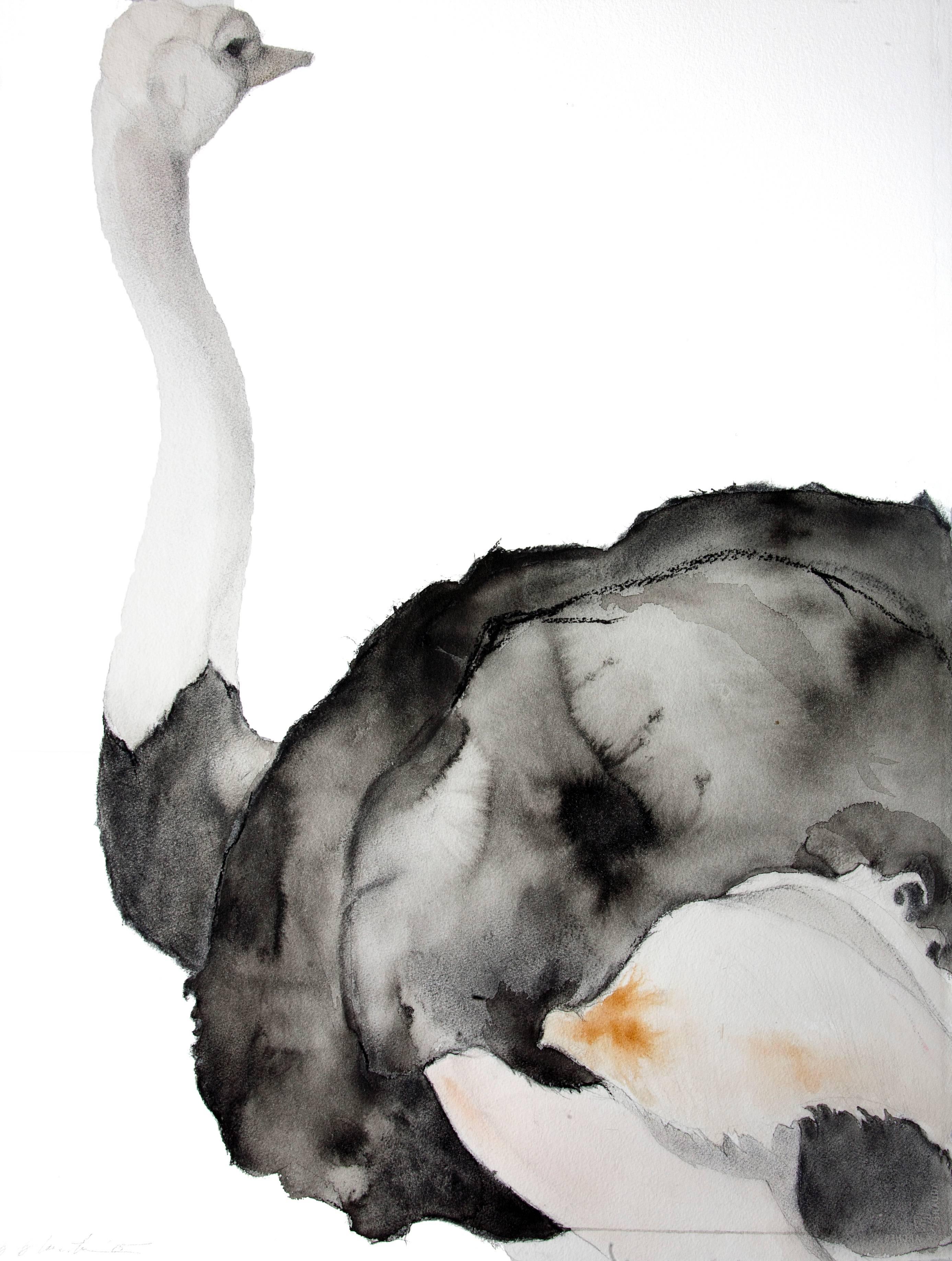 Heather Lancaster Figurative Painting - Male Ostrich-Profile