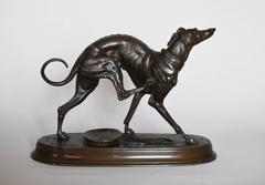 Whippet Scratching, Bronze Sculpture
