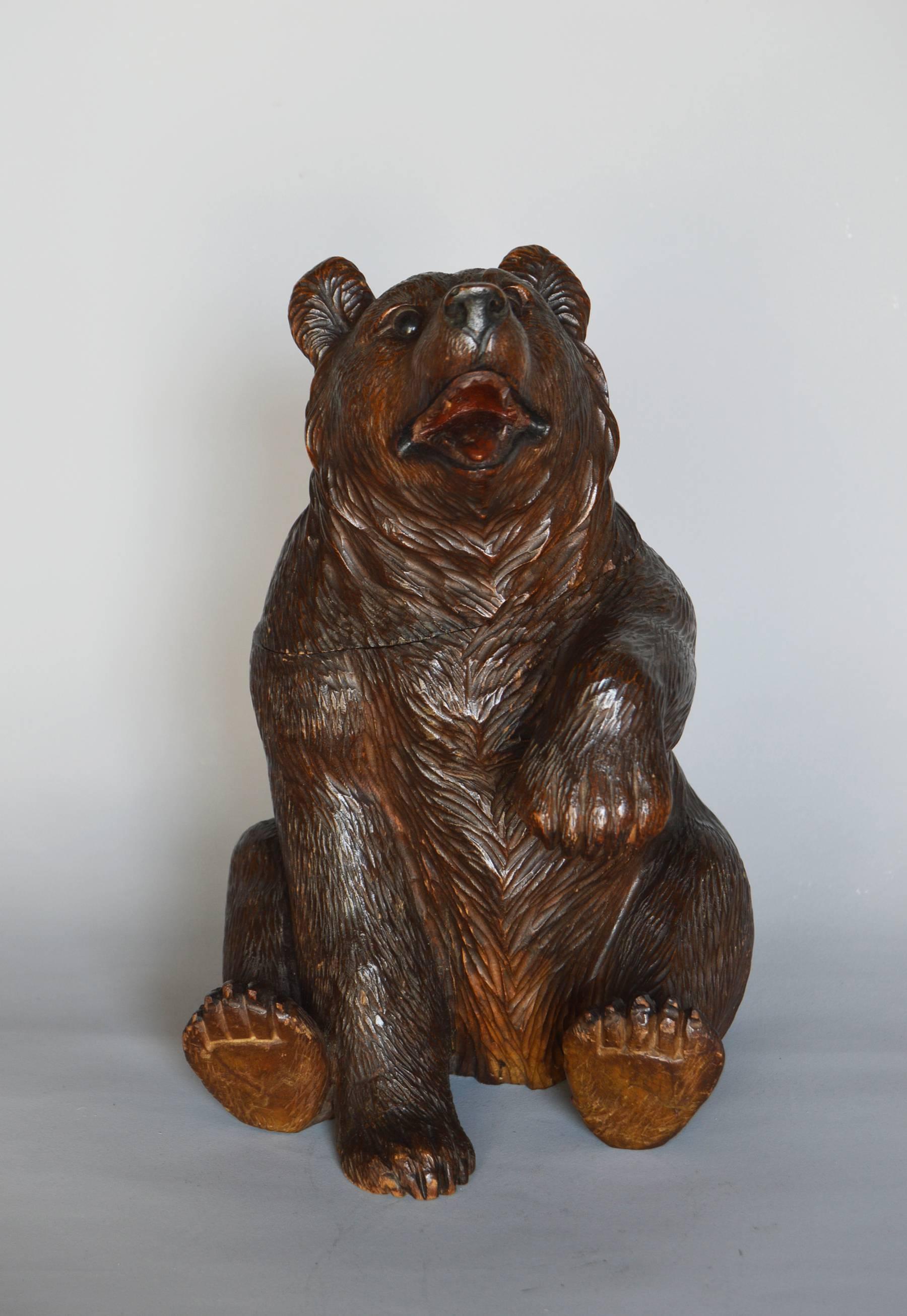 tobacco bear
