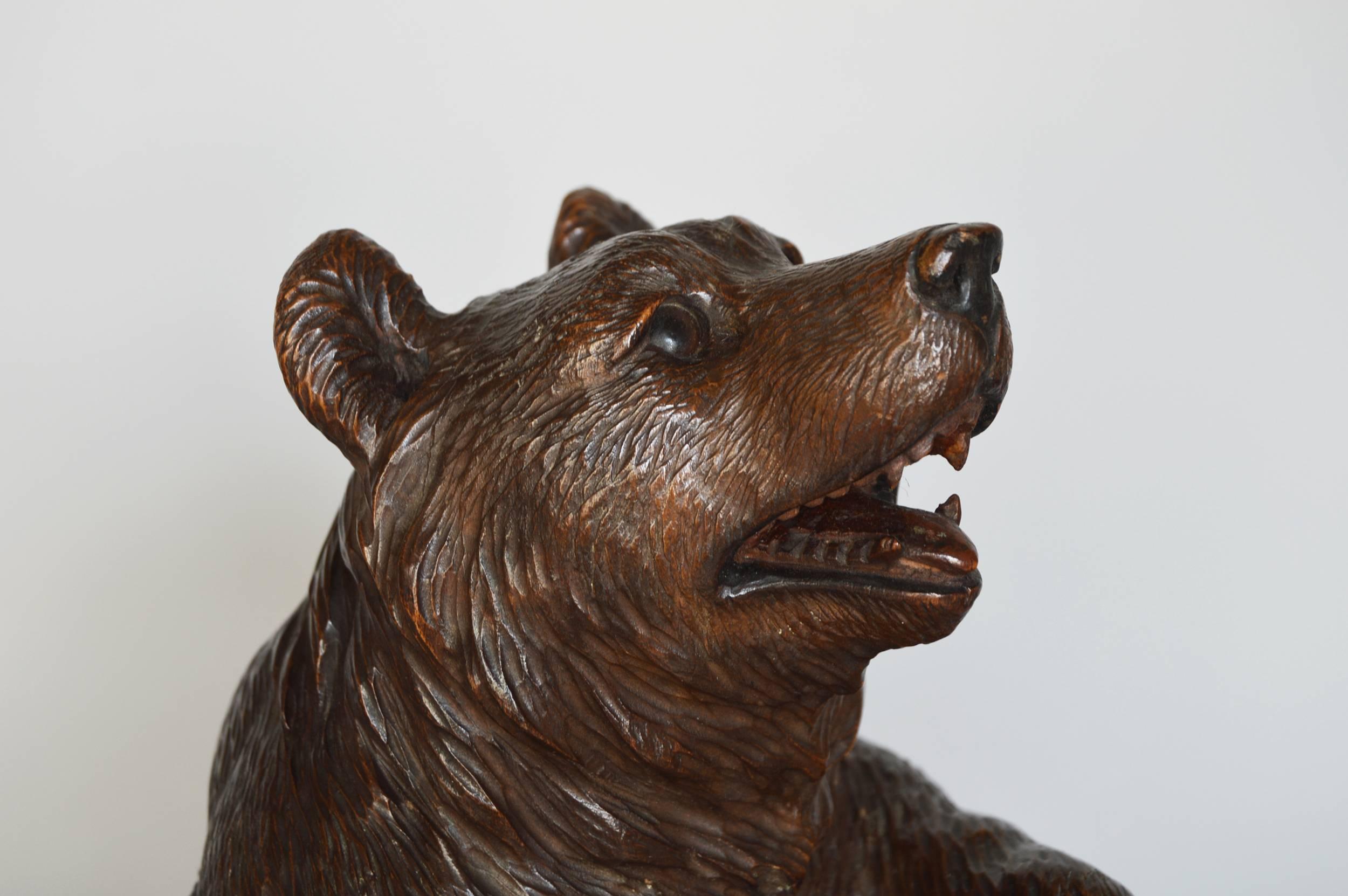 Swiss Black Forest Carved Bear Tobacco Jar, C1900 1