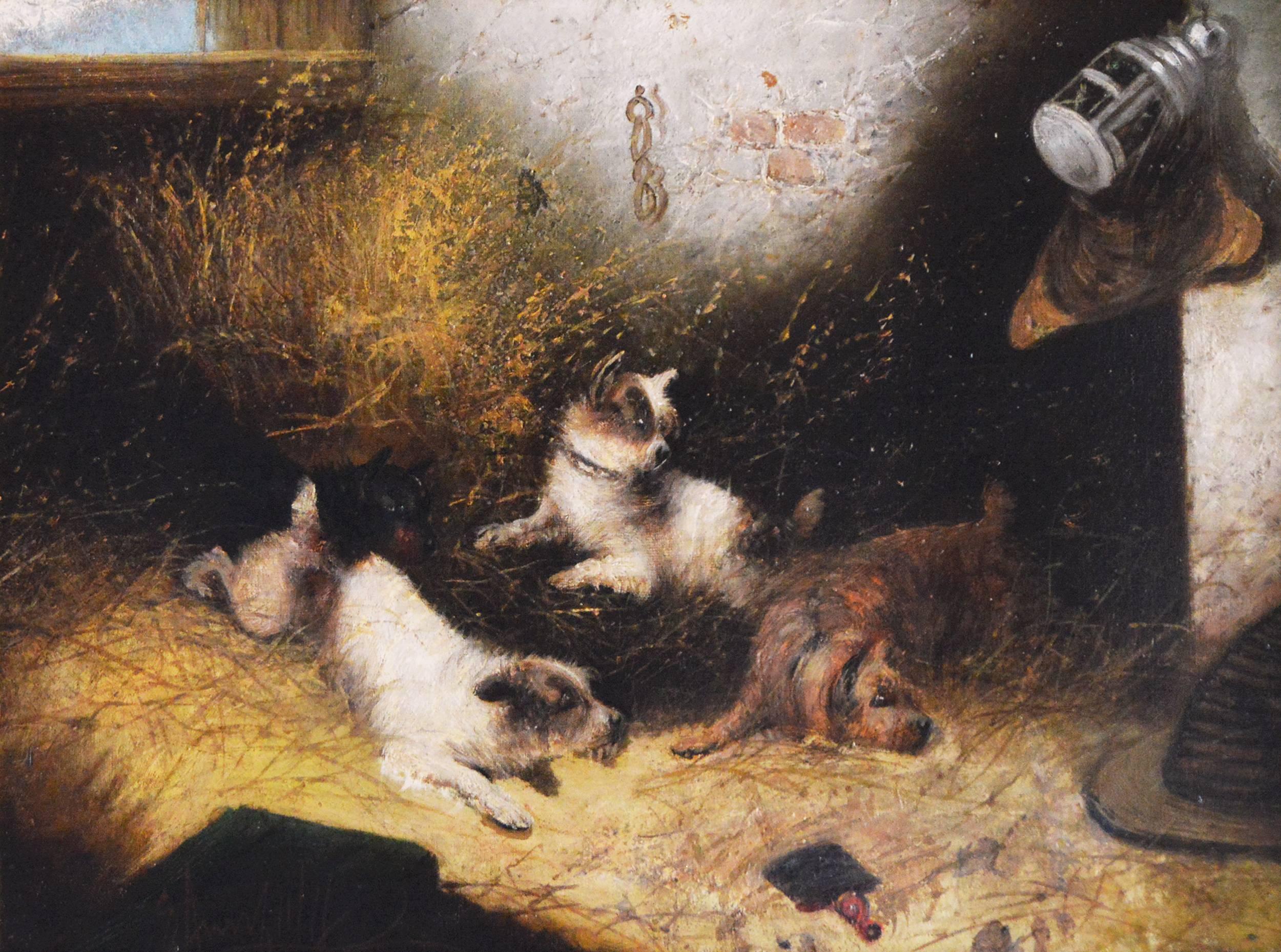 Terriers Ratting, oil on canvas - Painting by Edward Armfield