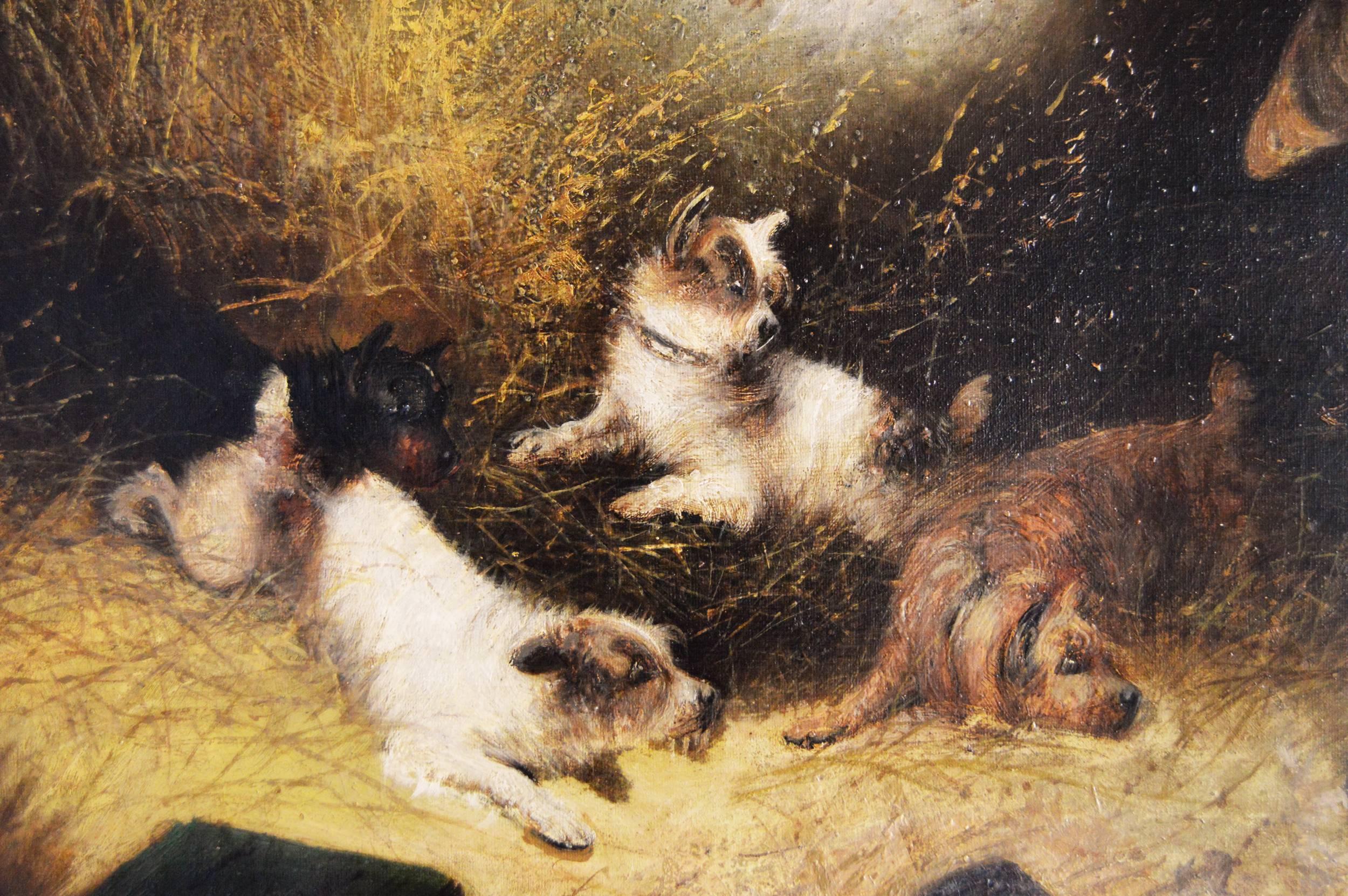 edward armfield