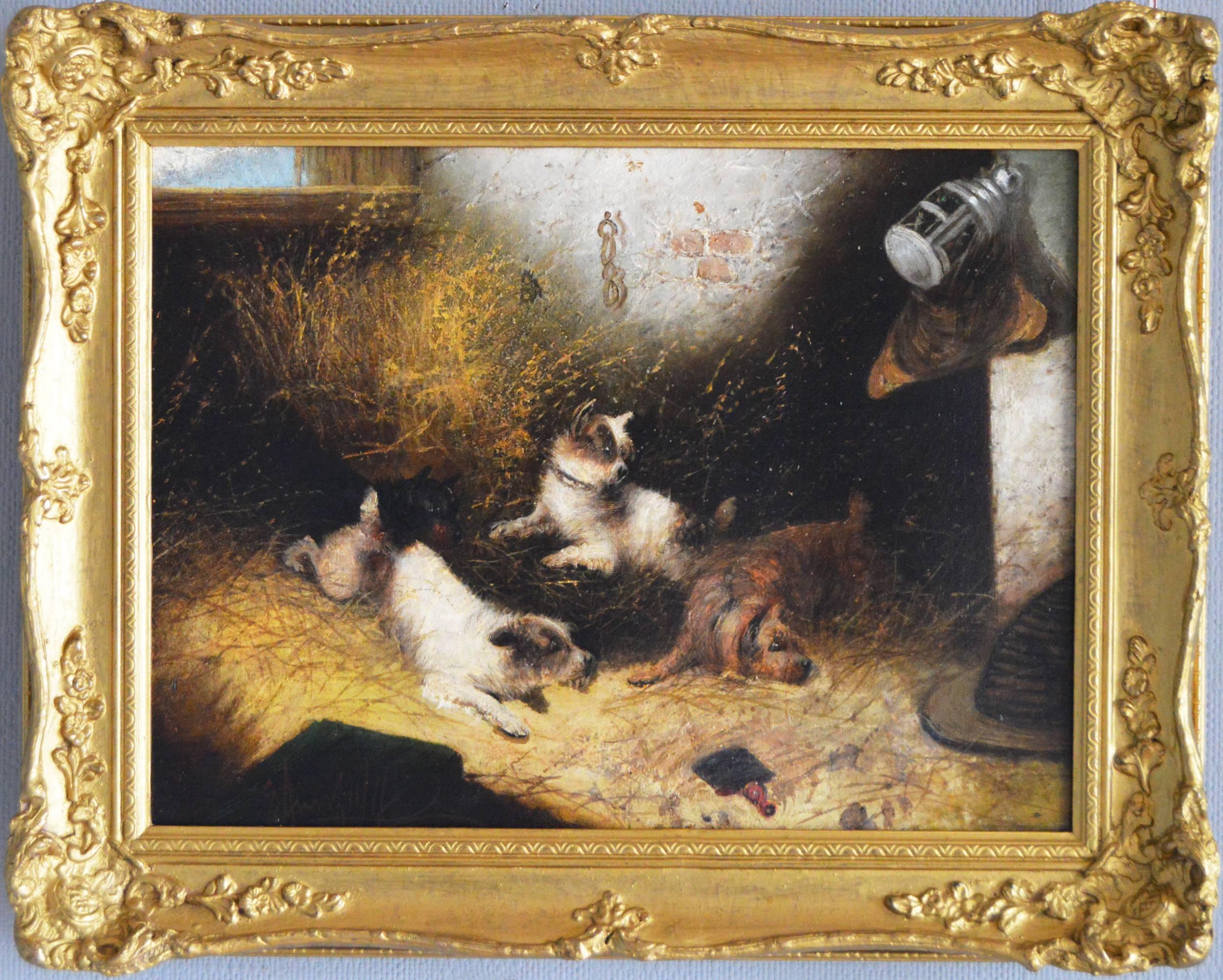 Edward Armfield Animal Painting - Terriers Ratting, oil on canvas
