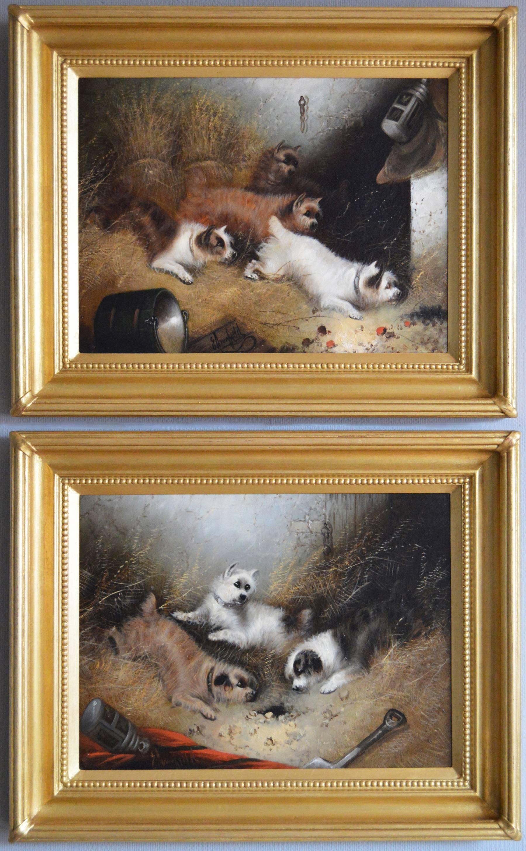 19th Century pair of oil paintings with terriers ratting in a barn