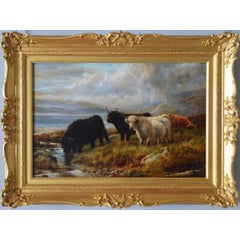 Highland Cattle by a Loch 2
