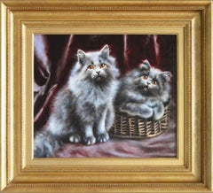 Persian Grey Kittens