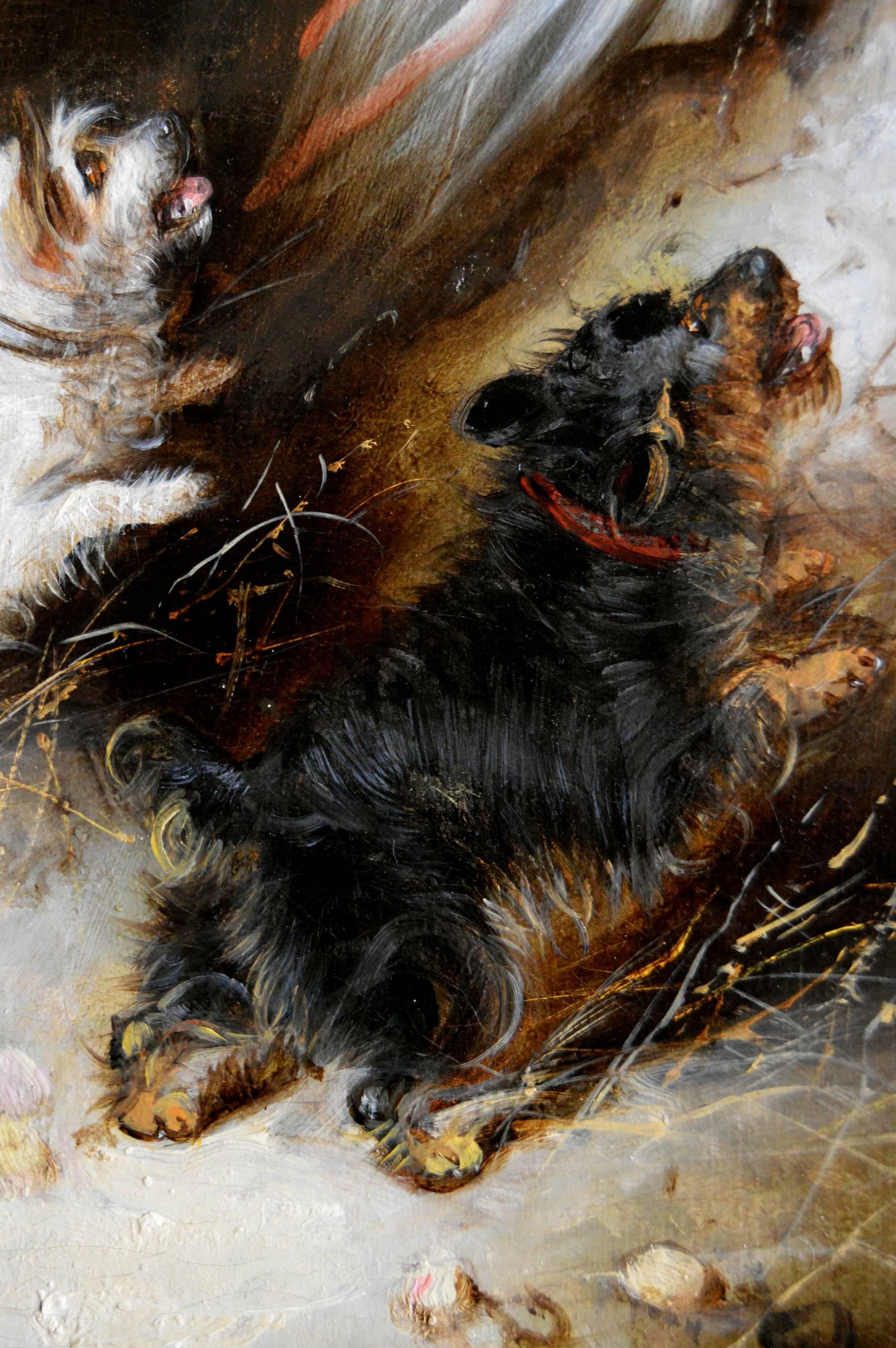 Paire de peintures à l'huile sportives du 19ème siècle représentant des chiens de terrier  - Marron Animal Painting par Edward Armfield