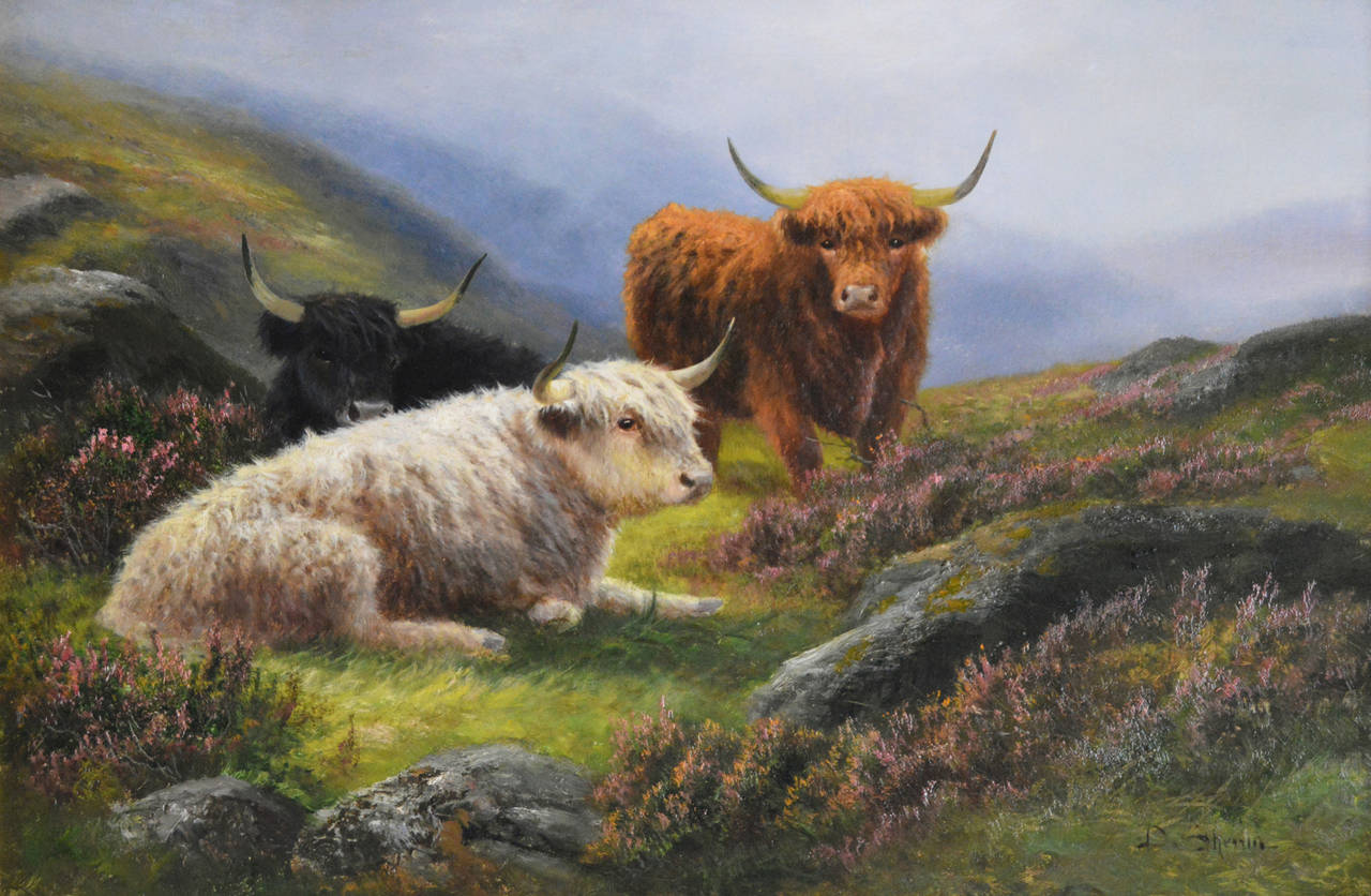 Highland Cattle, oil on canvas - Painting by Daniel Sherrin