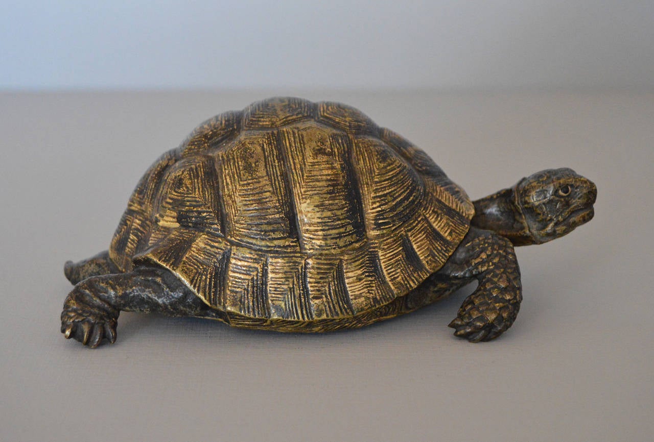 Tortoise - Sculpture by Franz Bergmann