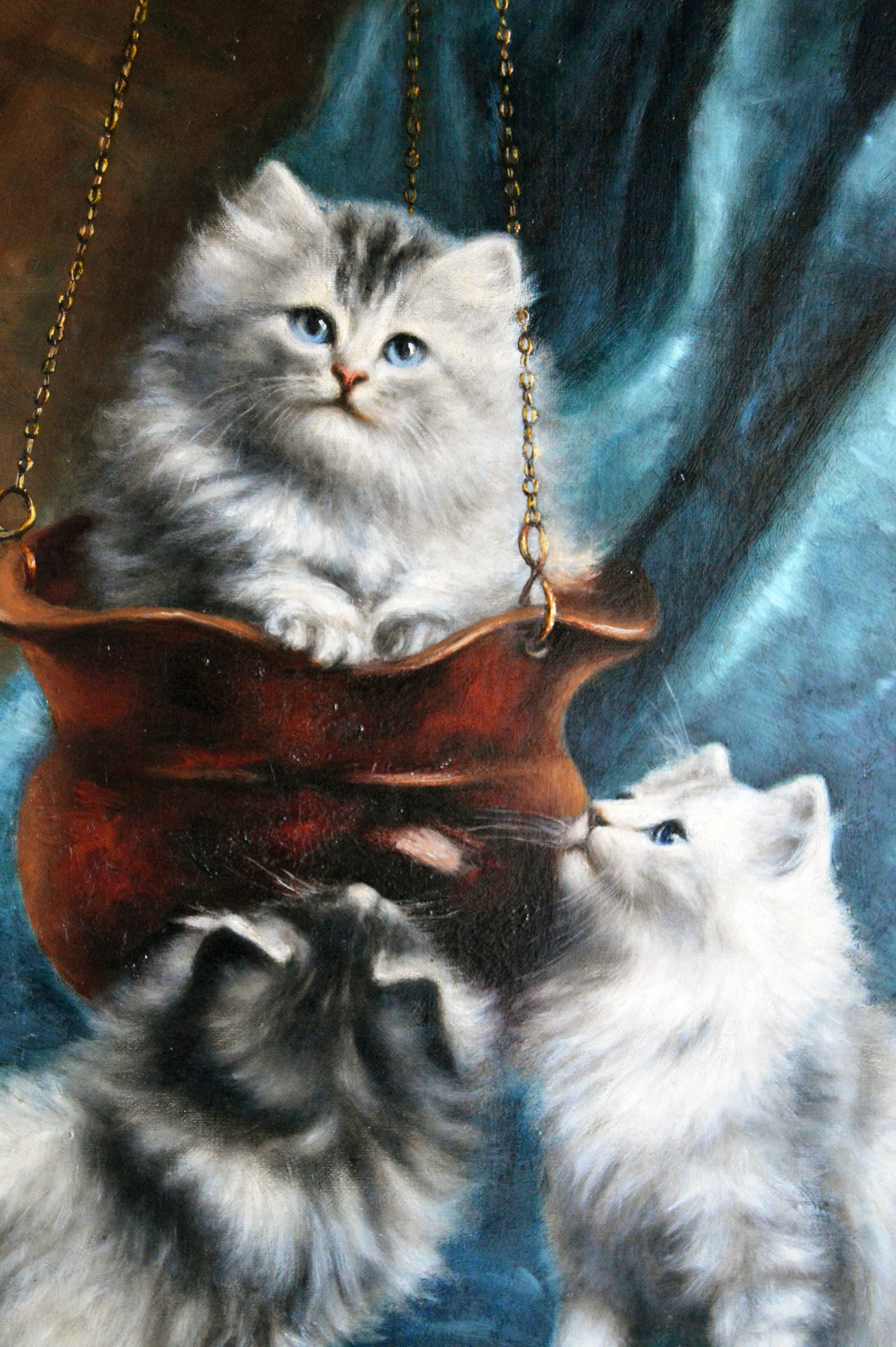 19th century persian cat