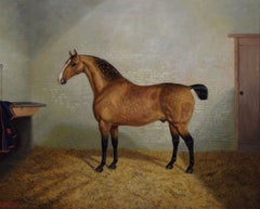 Horse portrait oil painting of a dappled buckskin horse