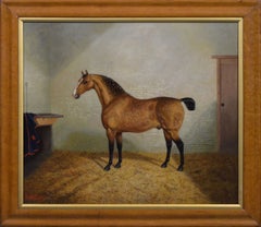 Ölgemälde mit dem Porträt eines gesprenkelten Buckskin-Pferdes