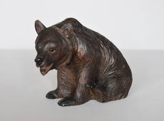 Swiss Black Forest Carved Bear