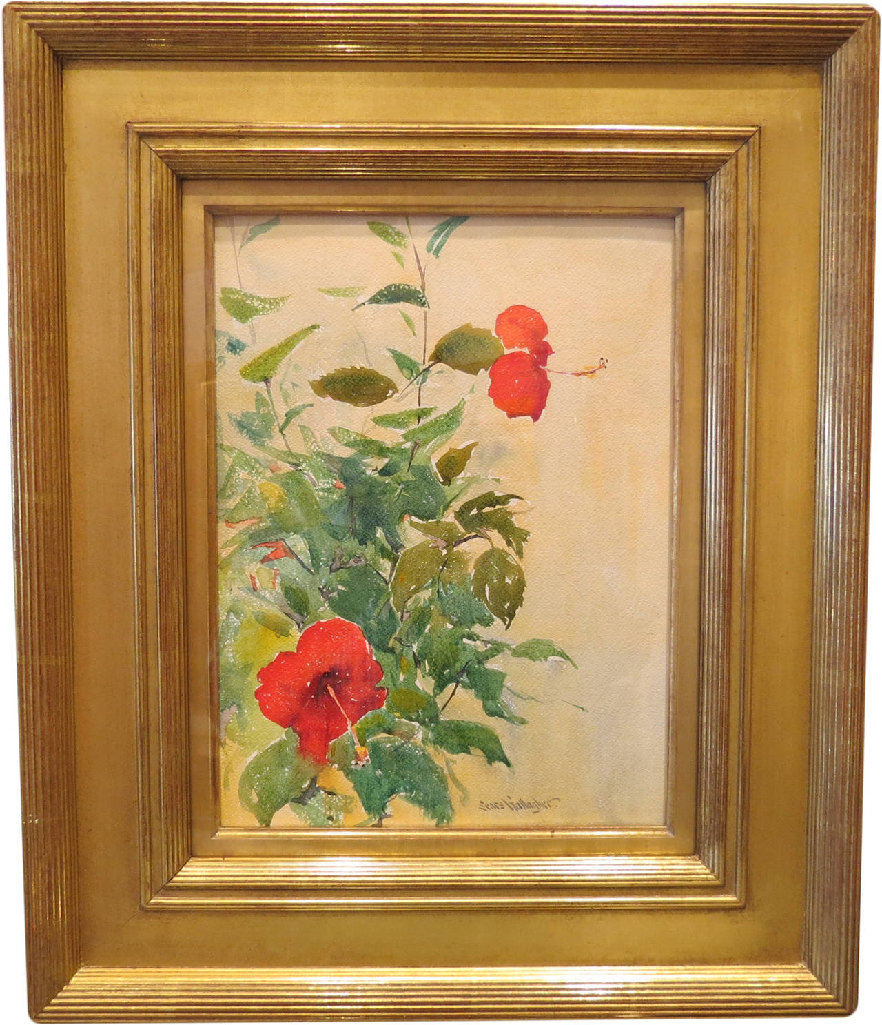 Sears Gallagher Still-Life - "Hibiscus"