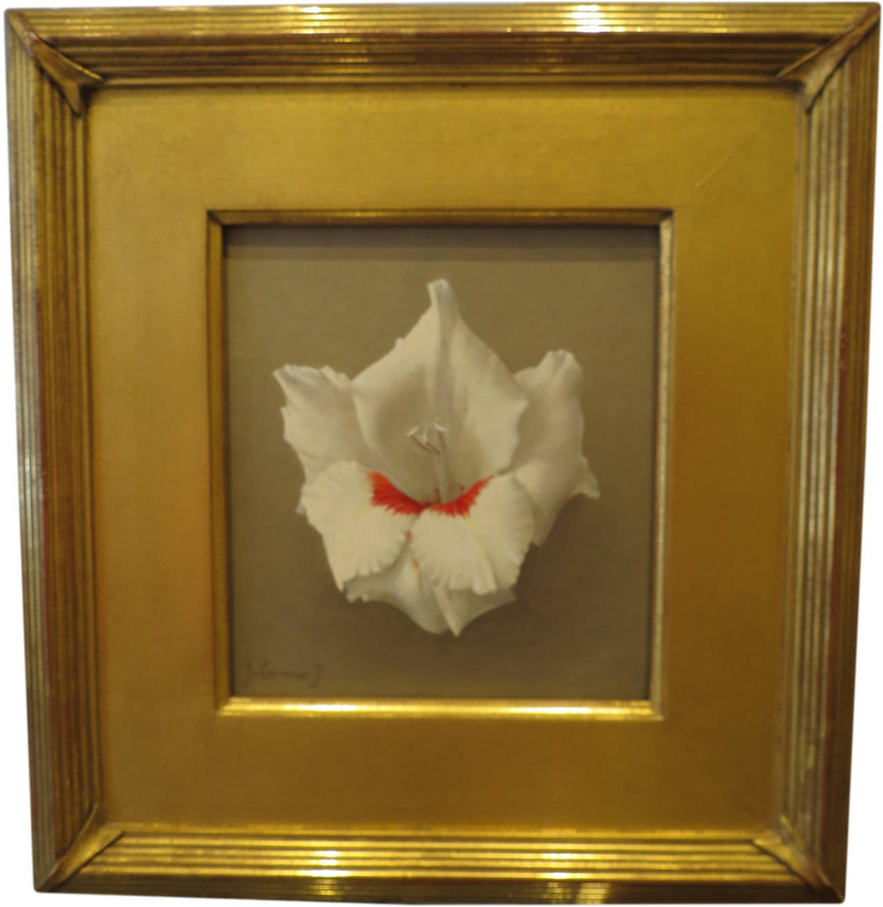 Jan Voerman Jr. Still-Life Painting - "Gladiola, White & Red"