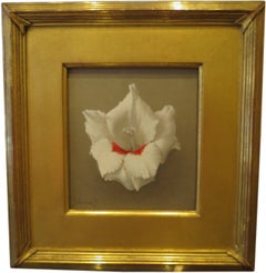 "Gladiola, White & Red"