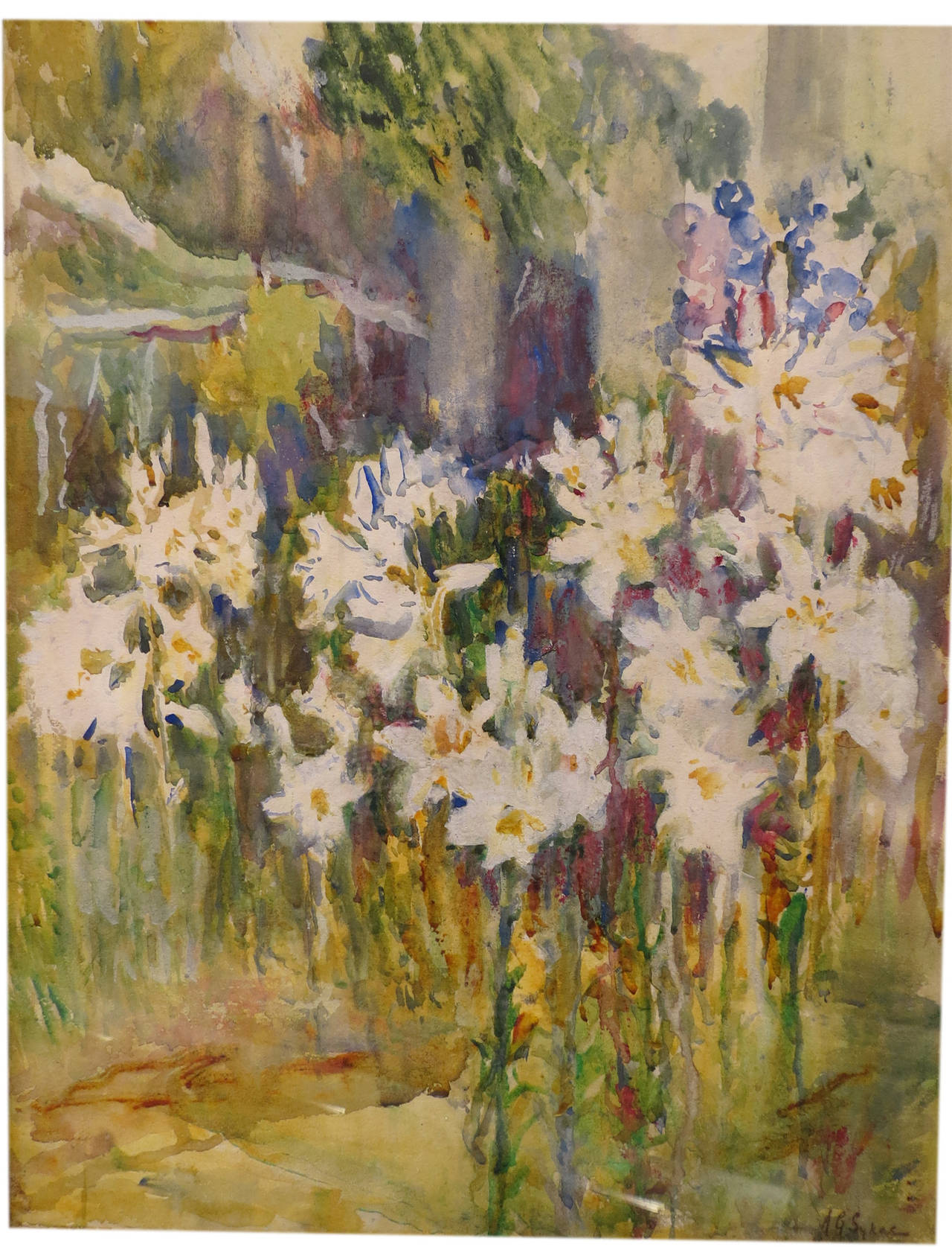 „Lillies in Bloom“ – Art von Annie Gooding Sykes