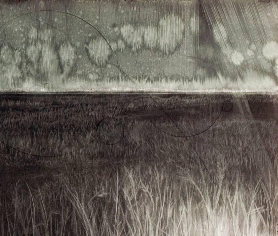 Campo de batalla - Art Contemporáneo de Judith Brandon