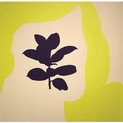 Basil Brow 9
